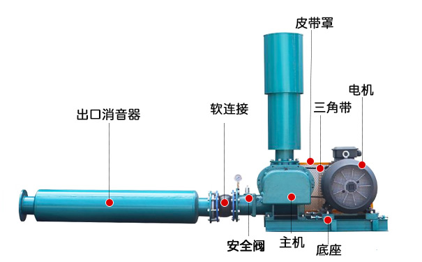 三叶罗茨鼓草莓视频APP官方(图3)