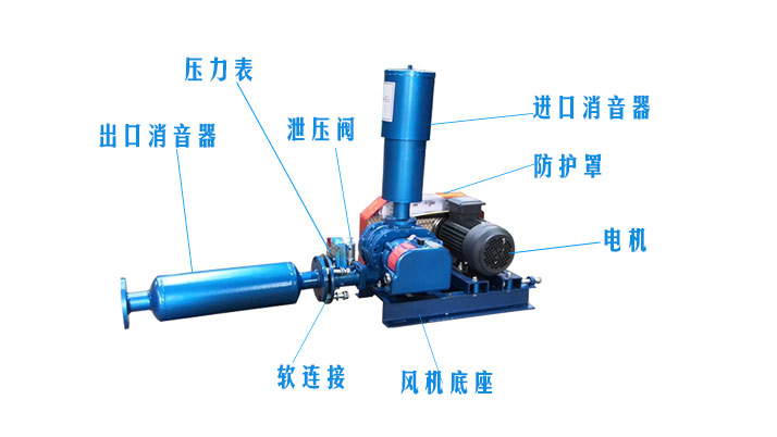 罗茨草莓视频APP官方型号参数齐全