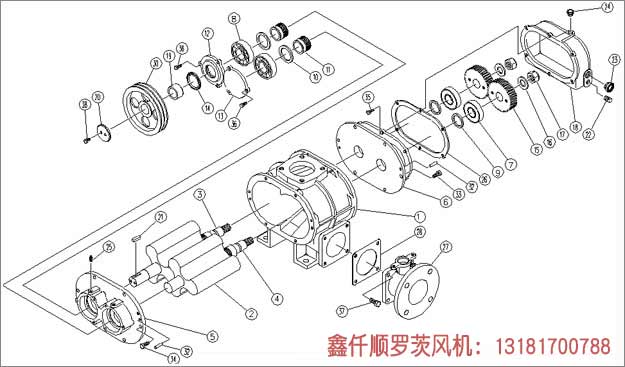 三叶罗茨鼓草莓视频APP官方安装示意图