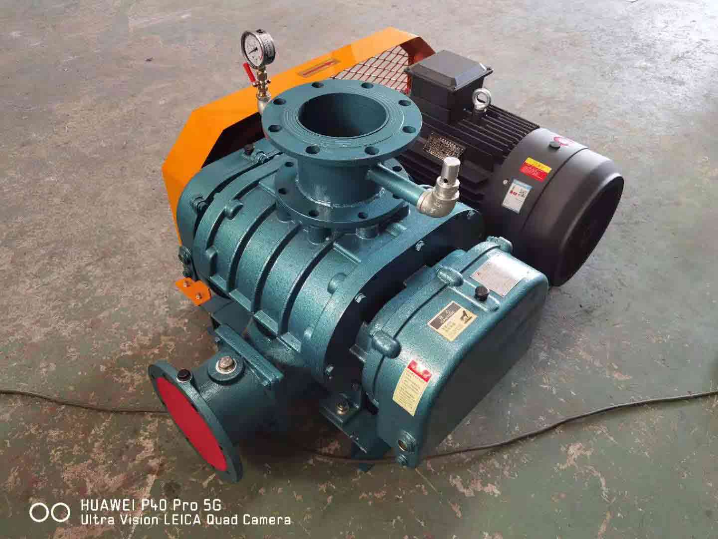 发货山西罗茨草莓视频APP官方XQSSR1005.5KW  2台(图1)